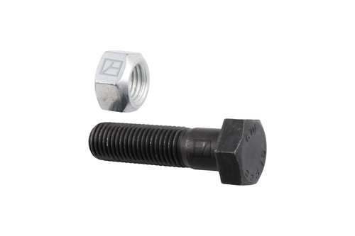 Bolt M16x2x60 m. låsemøtrik