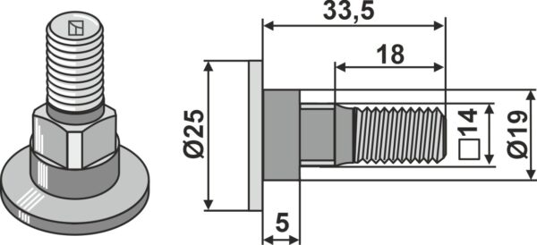 Knivbolt