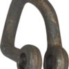 Sjækkel