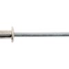 Popnitte 4 x 6mm