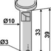 Bolt