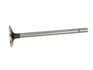 Ventil (indsugning)