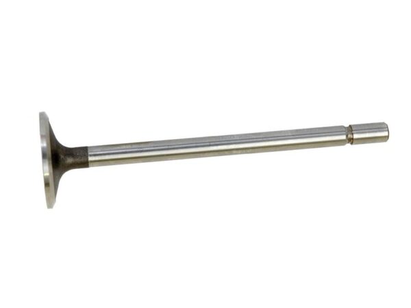Ventil (indsugning)