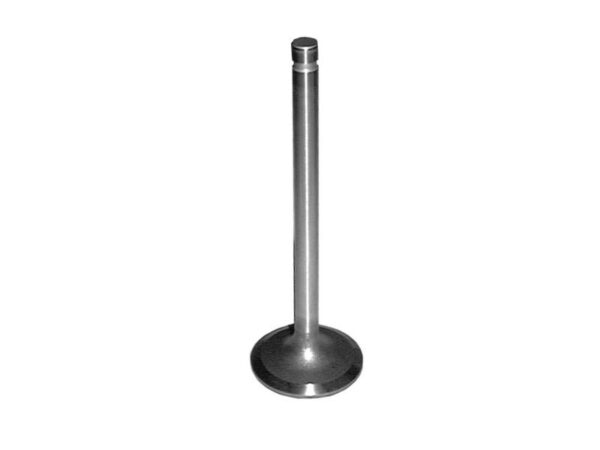 Ventil (indsugning)