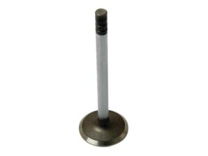 72126_pic1 Ventil (indsugning)