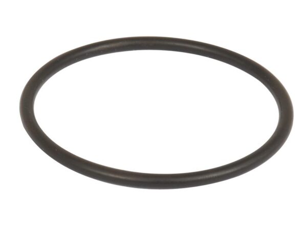 Sealing Ring 58.74 x 3.53mm