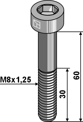 Skrue med indvendig sekskant M8x1,25x60 - galvaniseret