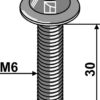 Bolt M6X30 - 10.9