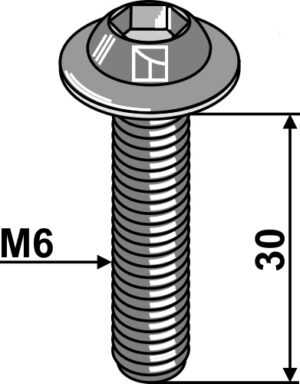 Bolt M6X30 - 10.9