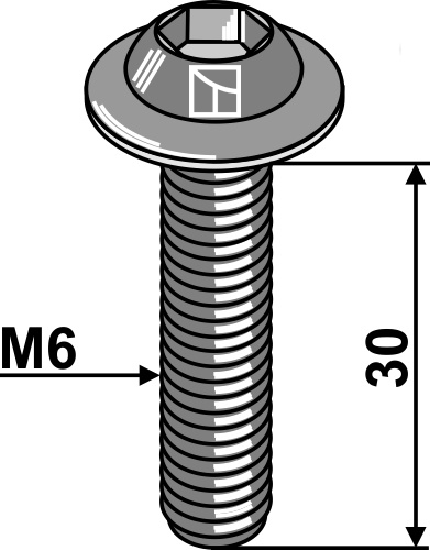 Bolt M6X30 - 10.9
