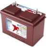 Trojan Batteri 12V 115 Ah