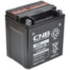 Danbrit Mc Batteri YTX30L-BS AGM 12V 30 Ah