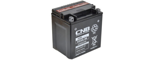 Danbrit Mc Batteri YTX30L-BS AGM 12V 30 Ah