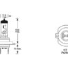 Pære H7, 12V, 55W, PX26d (Kasse 1 stk.)