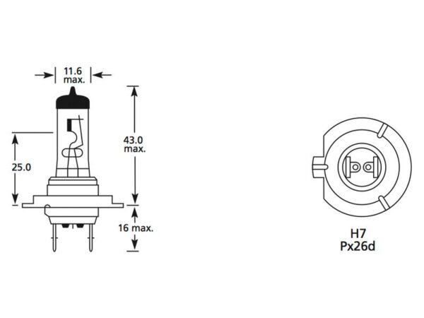 Pære H7, 12V, 55W, PX26d (Kasse 1 stk.)