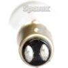 Pære P21/5W, 12V, 5W, BAY15d (Clamshell 2 stk.)