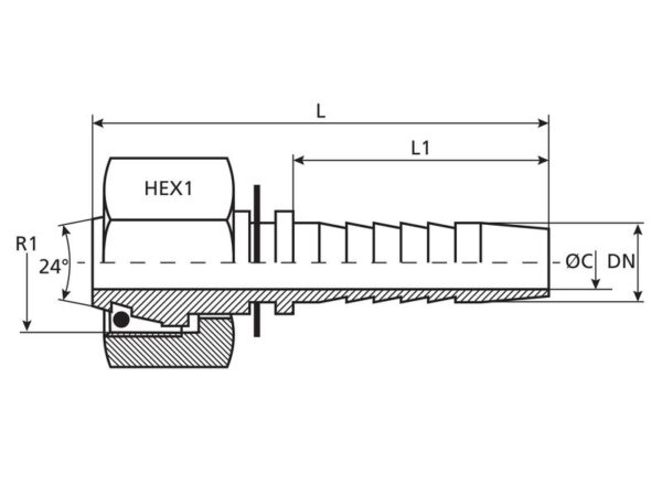 Dicsa Millimeter 24° Indstik 5/8'' x M30 x 2 (20S) Hun Lige Omløber (o-ring)