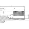 Dicsa Millimeter Banjobolt M18 x 1.5