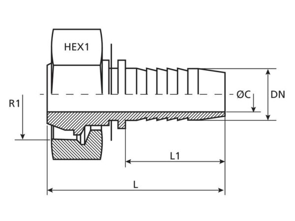 Dicsa 24° Indstik 1/2'' x M24 x 1.5 Hun Lige Omløber