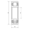 NTN SNR Rullelejer (cylindrisk) (NJ2206EG15)