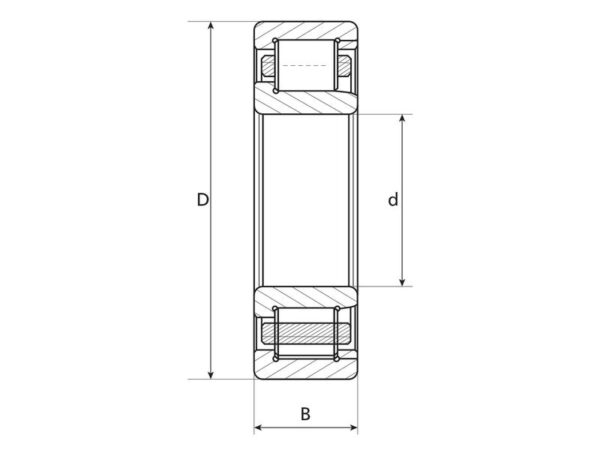 NTN SNR Rullelejer (cylindrisk) (NJ2206EG15)