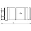 Faster Lynkobling Hun 1/2'' Krop tommer x 1/2'' NPT Hun
