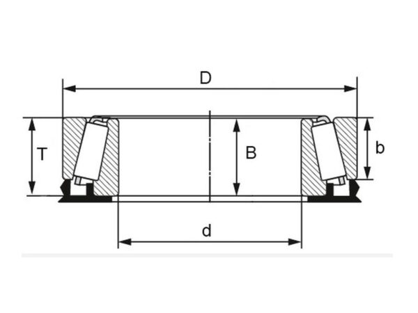 Sparex Koniske rullelejer (trailer lejer) (L44643/L44610)