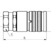 Lynkobling FF 3/8''x3/8'' BSP (Hun/Hun)(Sparex) Agripak