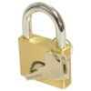 Squire Solid Brass Lion Range Padlock - messing, Bredde (mm): 51mm (Sikkerhedsklasse: 4)