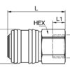 Coupler Female BSPP - 1/2''