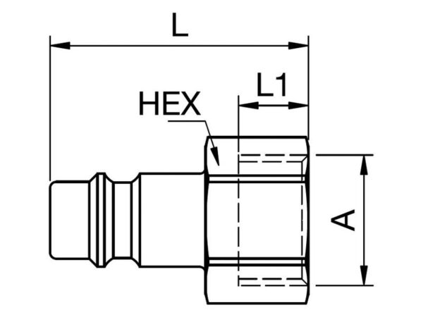 Plug Female BSPP - 3/8''