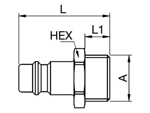 Plug Male - 1/2''