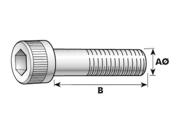 Umbrachobolt, Størrelse: M6x40mm (DIN 912)