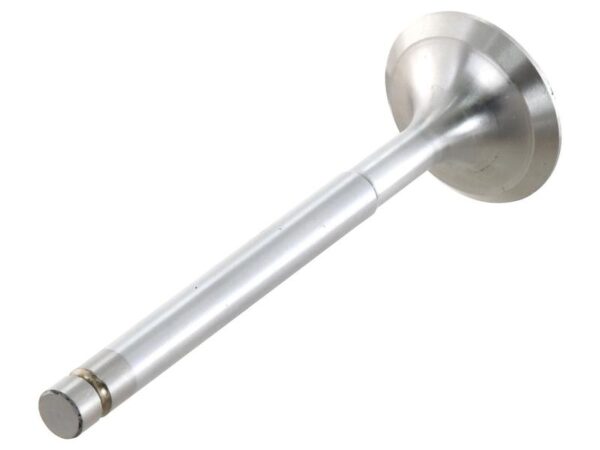 Ventil (indsugning)