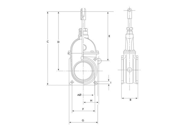Skydeventil (flange/gevind) 6''